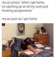 school memes